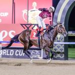 Backing a 10-1 Shot in Breeders’ Cup Classic Future Wager Pool 2